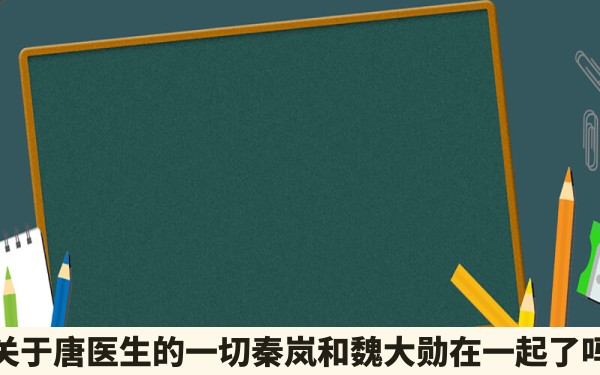 关于唐医生的一切秦岚和魏大勋在一起了吗