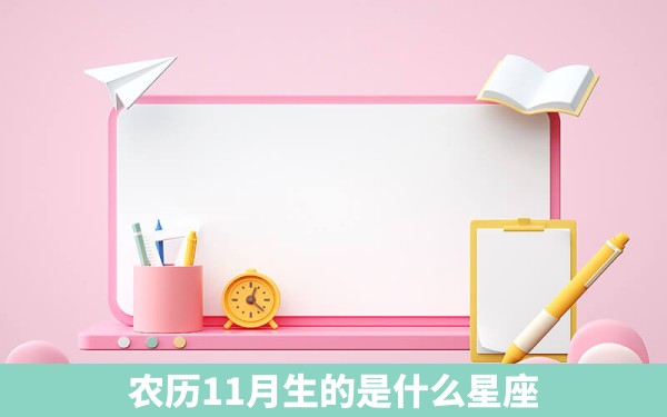 农历11月生的是什么星座