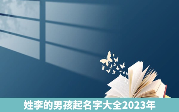 姓李的男孩起名字大全2023年