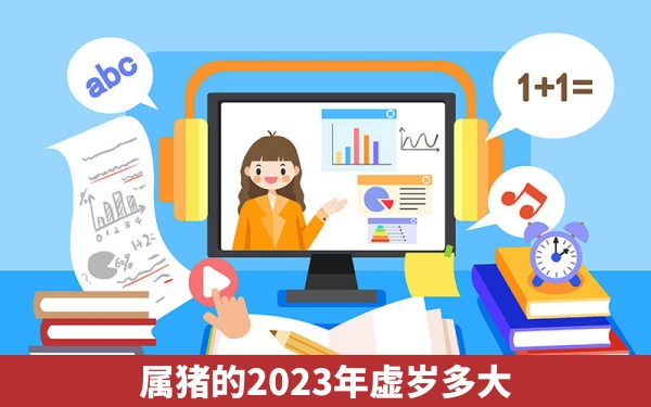 属猪的2023年虚岁多大