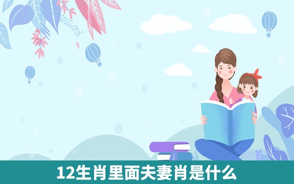 12生肖里面夫妻肖是什么