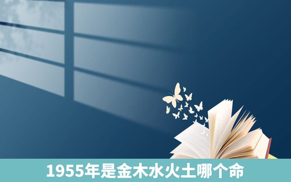 1955年是金木水火土哪个命