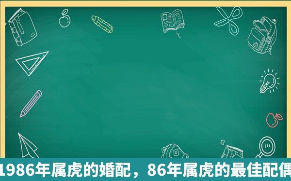1986年属虎的婚配，86年属虎的最佳配偶