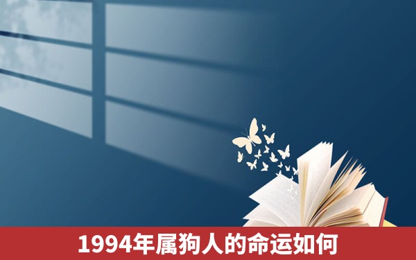 1994年属狗人的命运如何