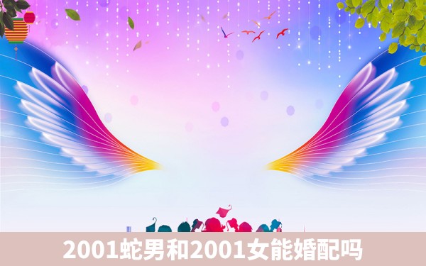 2001蛇男和2001女能婚配吗