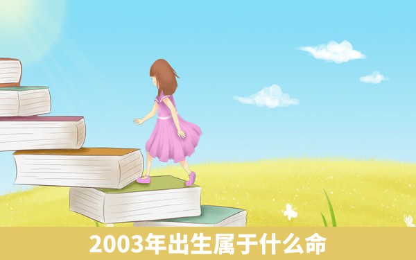 2003年出生属于什么命