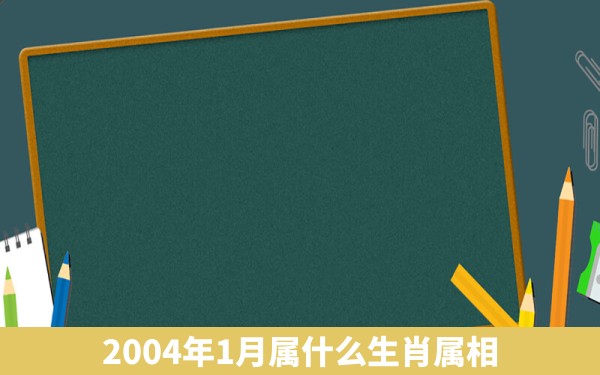 2004年1月属什么生肖属相