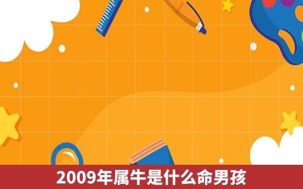 2009年属牛是什么命男孩