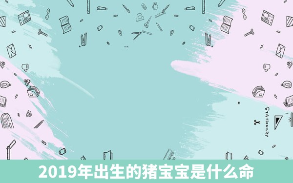 2019年出生的猪宝宝是什么命