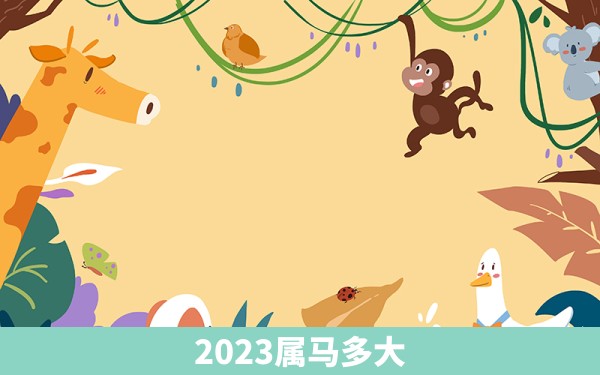 2023属马多大