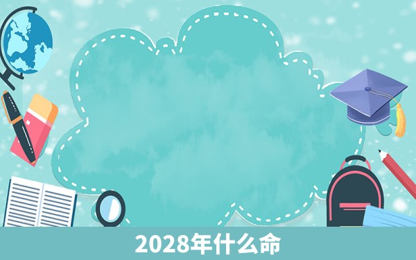 2028年什么命