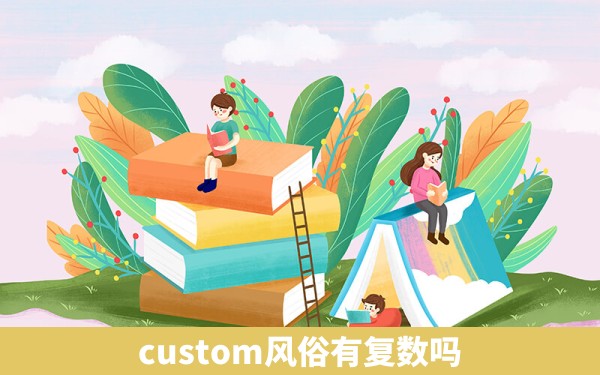 custom风俗有复数吗