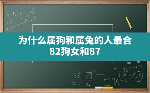 为什么属狗和属兔的人最合,82狗女和87兔男相配婚姻如何 - 一测网