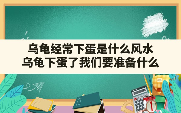 乌龟经常下蛋是什么风水(乌龟下蛋了我们要准备什么) - 一测网