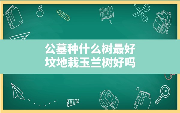 公墓种什么树最好,坟地栽玉兰树好吗 - 一测网