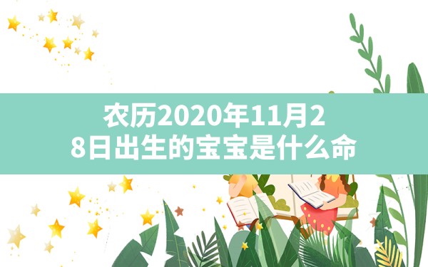 农历2020年11月28日出生的宝宝是什么命_2020年12月28日出生男宝宝五行查询 - 一测网