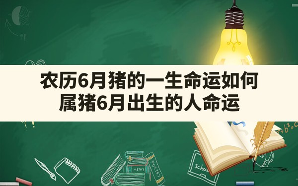 农历6月猪的一生命运如何(属猪6月出生的人命运) - 一测网