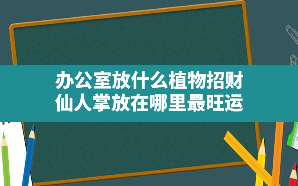 办公室放什么植物招财(仙人掌放在哪里最旺运) - 一测网