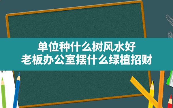 单位种什么树风水好(老板办公室摆什么绿植招财) - 一测网