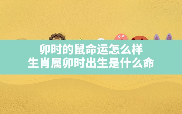 卯时的鼠命运怎么样(生肖属卯时出生是什么命) - 一测网