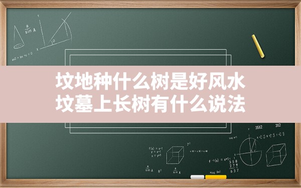 坟地种什么树是好风水,坟墓上长树有什么说法 - 一测网