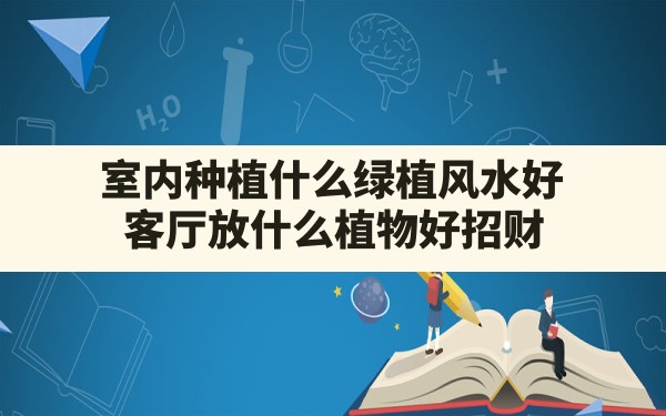 室内种植什么绿植风水好,客厅放什么植物好 招财 - 一测网