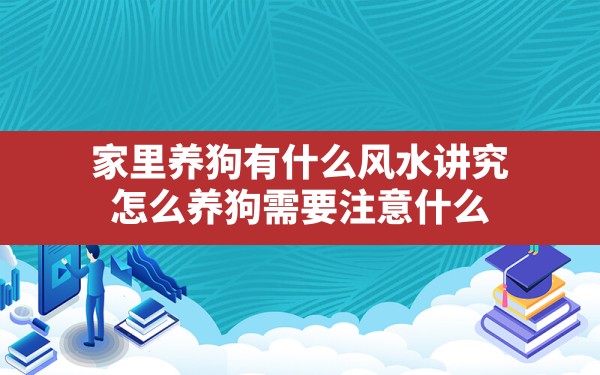 家里养狗有什么风水讲究(怎么养狗 需要注意什么) - 一测网