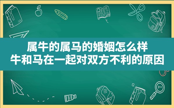 属牛的属马的婚姻怎么样,牛和马在一起对双方不利的原因 - 一测网