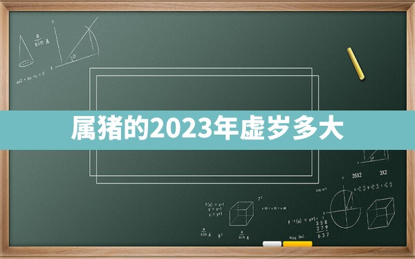 属猪的2023年虚岁多大 - 一测网