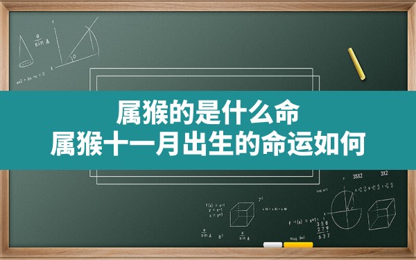 属猴的是什么命(属猴十一月出生的命运如何) - 一测网