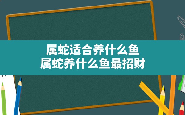 属蛇适合养什么鱼(属蛇养什么鱼最招财) - 一测网