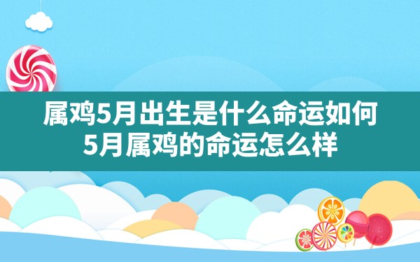 属鸡5月出生是什么命运如何,5月属鸡的命运怎么样 - 一测网