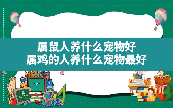 属鼠人养什么宠物好,属鸡的人养什么宠物最好 - 一测网