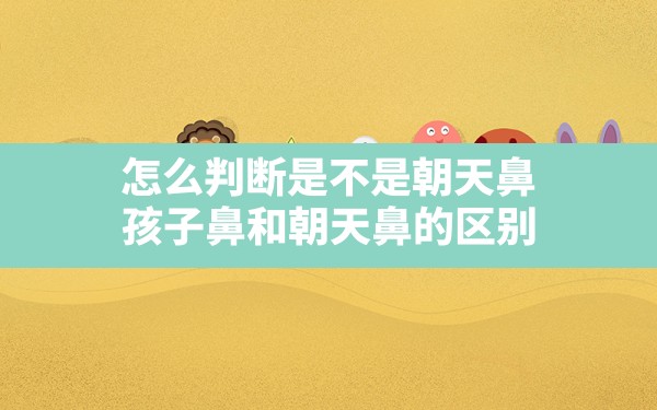 怎么判断是不是朝天鼻,孩子鼻和朝天鼻的区别 - 一测网