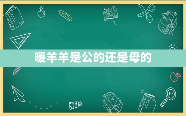 暖羊羊是公的还是母的？ - 一测网