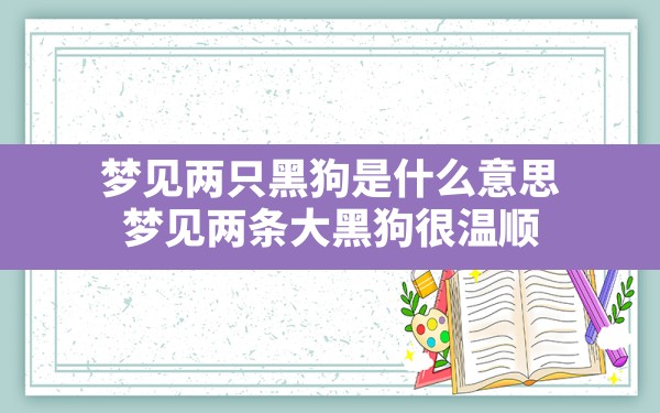 梦见两只黑狗是什么意思,梦见两条大黑狗很温顺 - 一测网