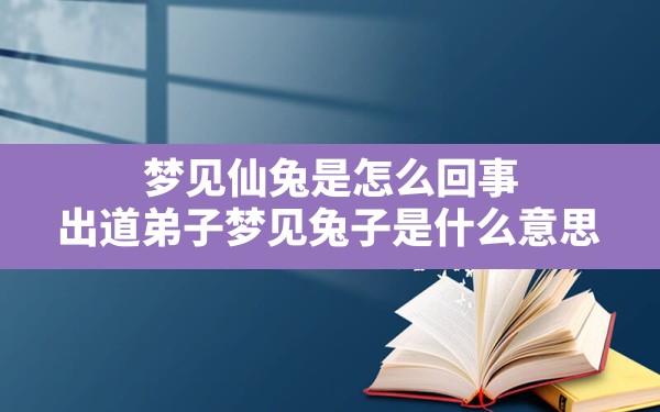 梦见仙兔是怎么回事(出道弟子梦见兔子是什么意思) - 一测网