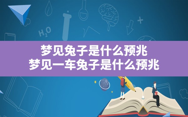 梦见兔子是什么预兆,梦见一车兔子是什么预兆 - 一测网