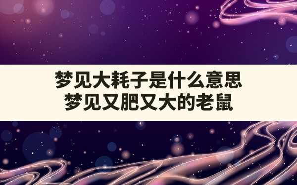 梦见大耗子是什么意思,梦见又肥又大的老鼠 - 一测网