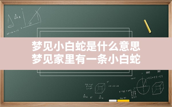 梦见小白蛇是什么意思,梦见家里有一条小白蛇 - 一测网