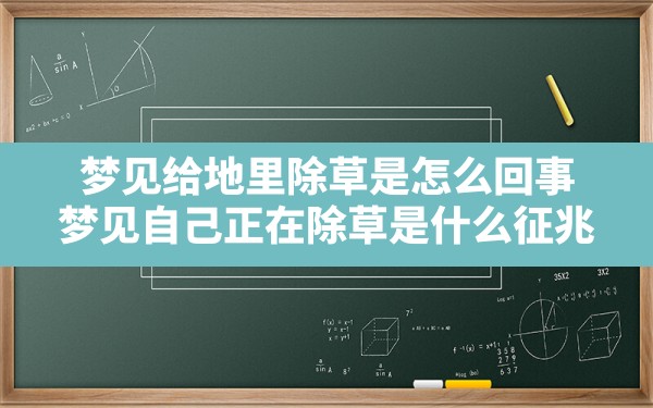 梦见给地里除草是怎么回事,梦见自己正在除草是什么征兆 - 一测网