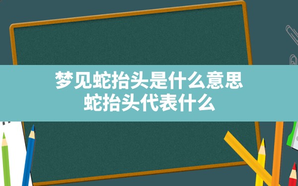 梦见蛇抬头是什么意思(蛇抬头代表什么) - 一测网