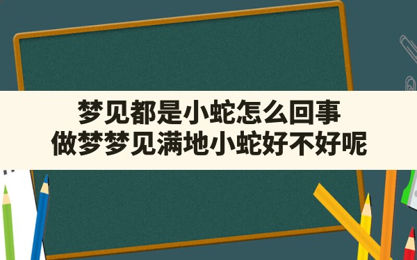 梦见都是小蛇怎么回事,做梦梦见满地小蛇好不好呢 - 一测网