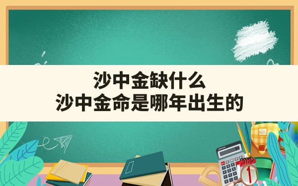 沙中金缺什么,沙中金命是哪年出生的 - 一测网