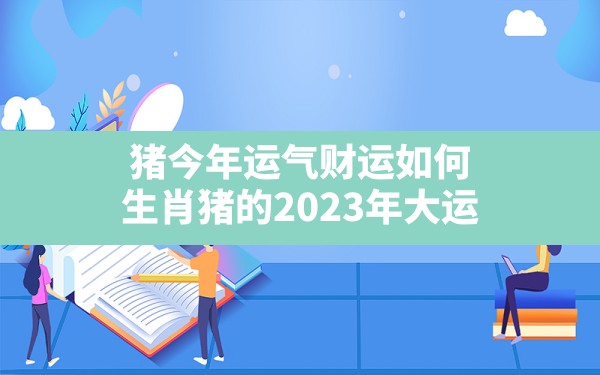 猪今年运气财运如何,生肖猪的2023年大运 - 一测网