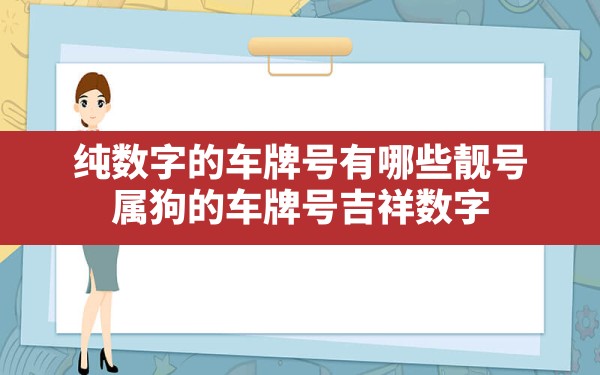 纯数字的车牌号有哪些靓号,属狗的车牌号吉祥数字 - 一测网