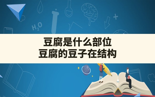 豆腐是什么部位,豆腐的豆子在结构层次上属于器官吗 - 一测网