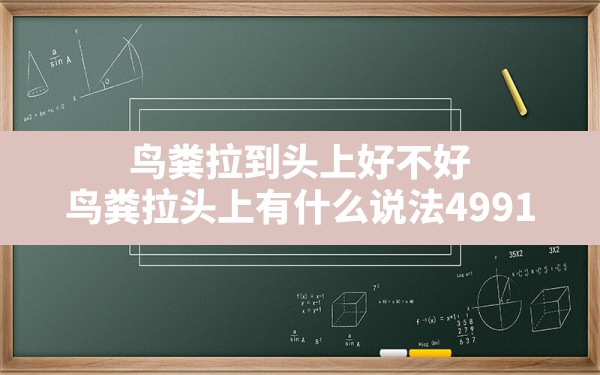 鸟粪拉到头上好不好,鸟粪拉头上有什么说法4991 - 一测网