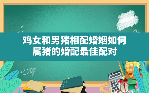 鸡女和男猪相配婚姻如何,属猪的婚配最佳配对 - 一测网