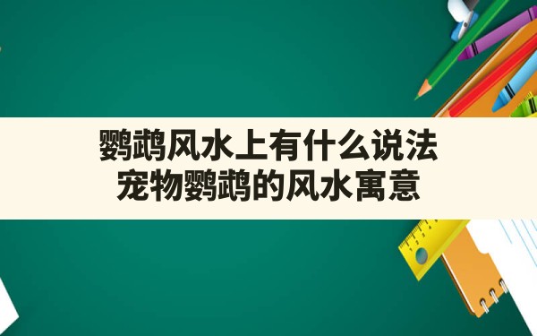 鹦鹉风水上有什么说法,宠物鹦鹉的风水寓意 - 一测网